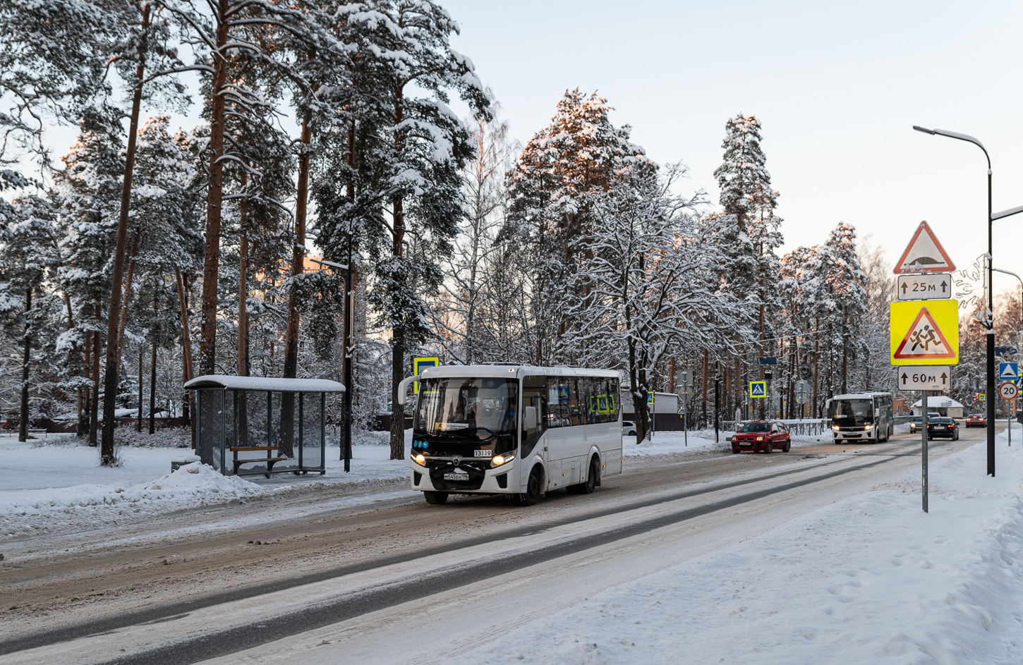 Saint Petersburg, PAZ-320435-04 "Vector Next" # 13119