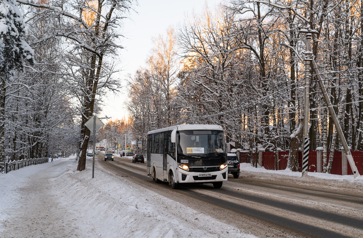 Saint Petersburg, PAZ-320435-04 "Vector Next" # 13100