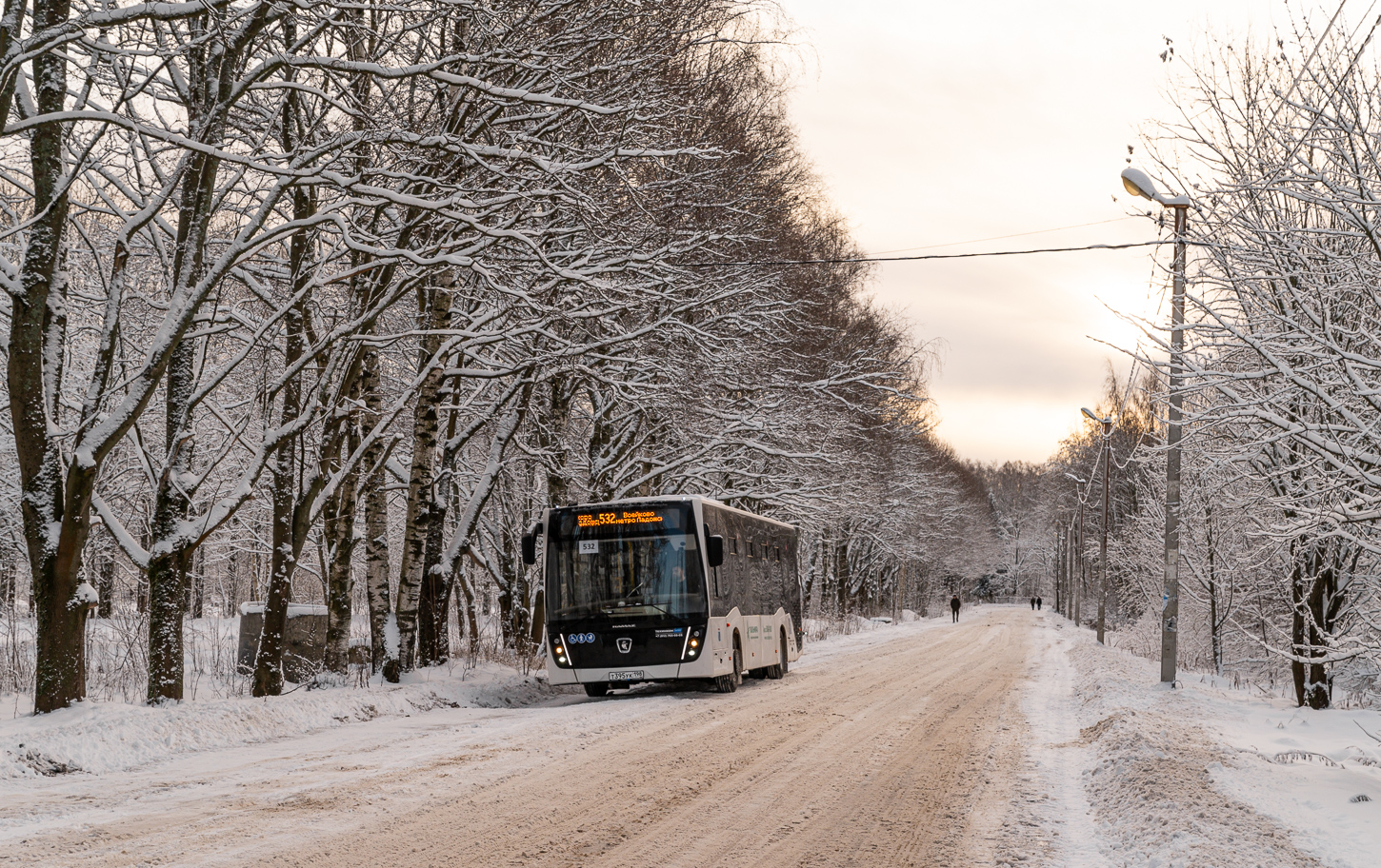 Saint Petersburg, NefAZ-5299-30-52 (5299JN) # Т 395 УК 198