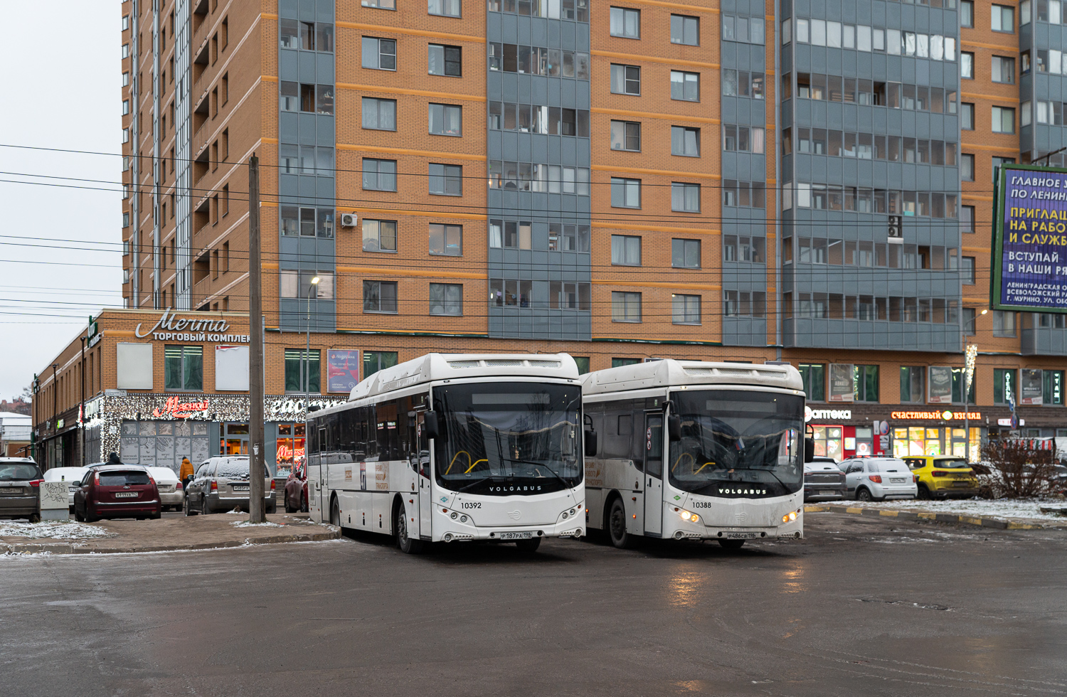 Saint Petersburg, Volgabus-5285.G4 # 10392