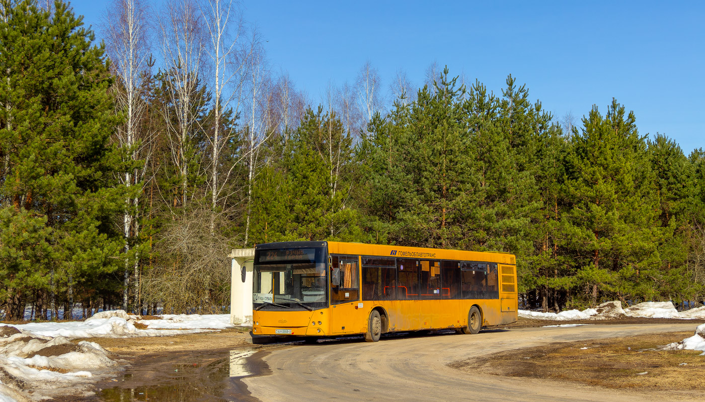 Rechyca, MAZ-203.065 # 014494