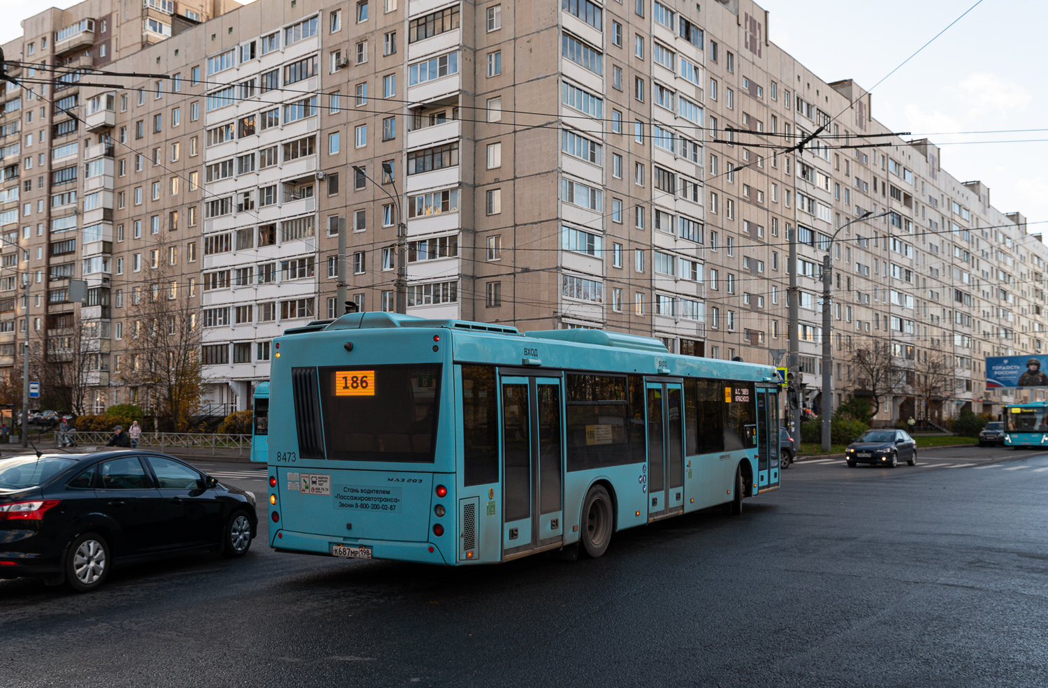 Saint Petersburg, MAZ-203.016 # 8473