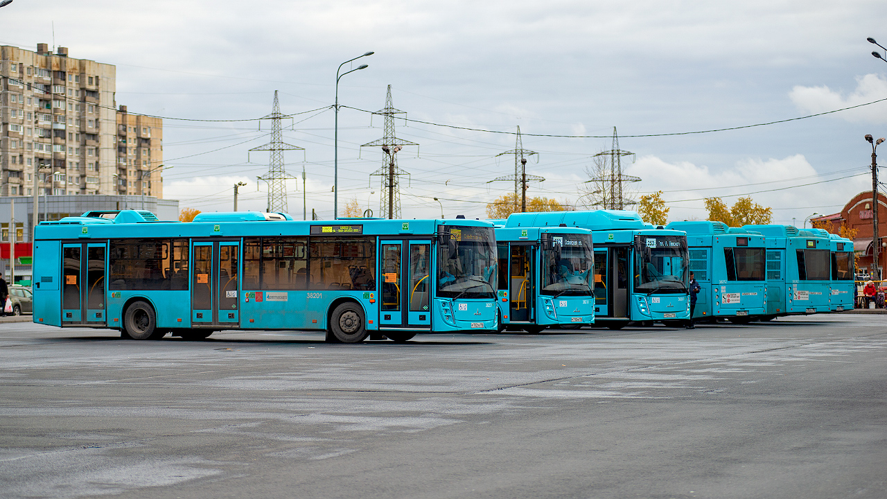 Saint Petersburg, MAZ-203.947 # 38201