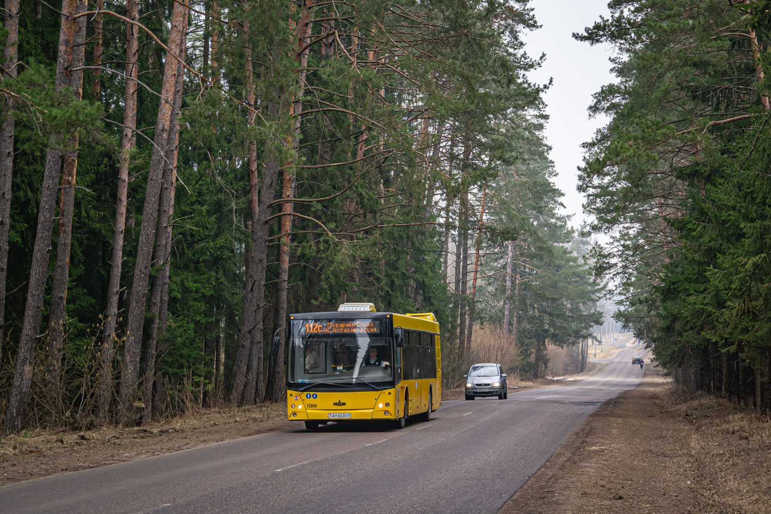 Minsk, MAZ-203.169 # 012866