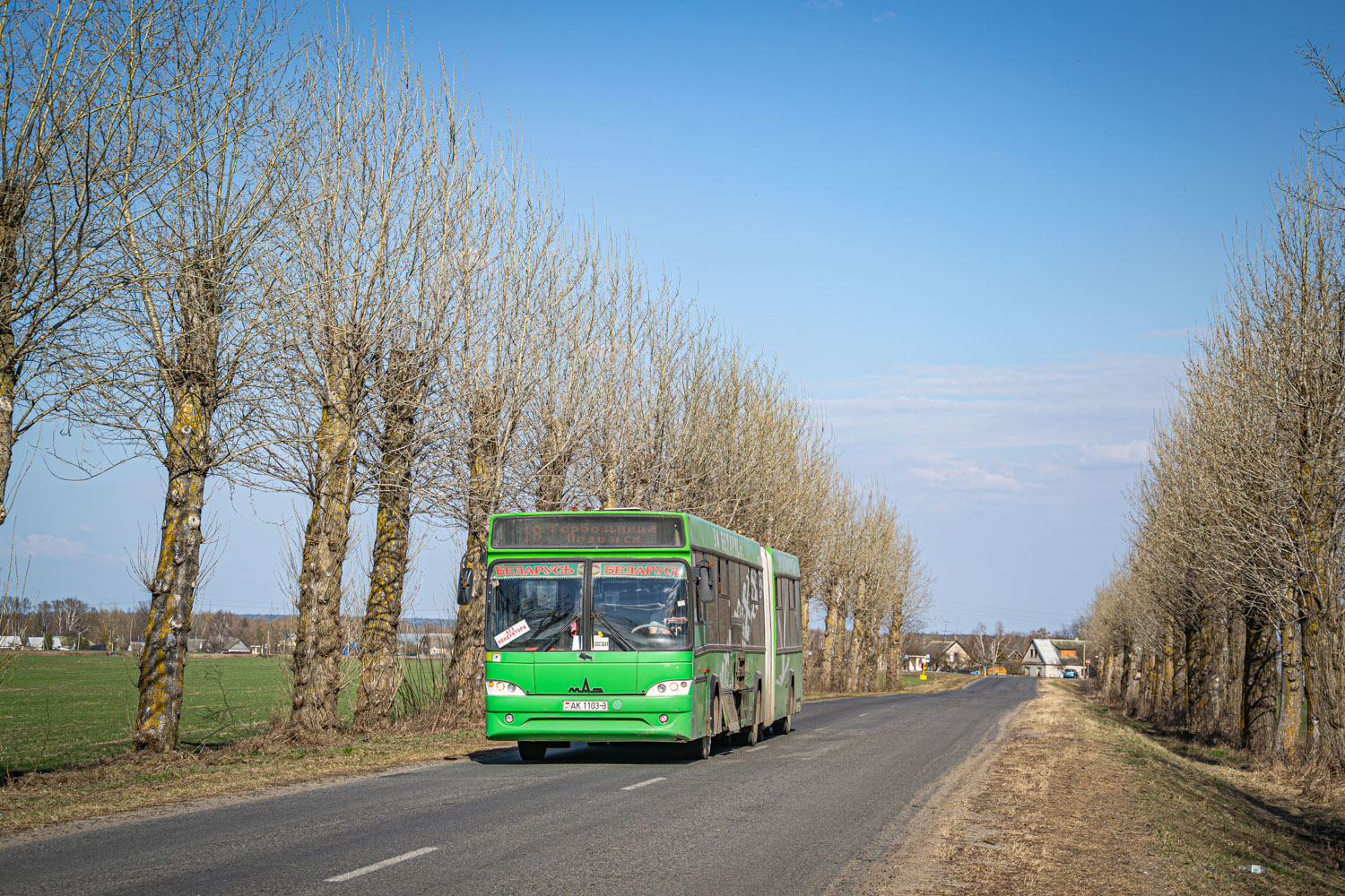 Zhlobin, MAZ-105.465 # 20192