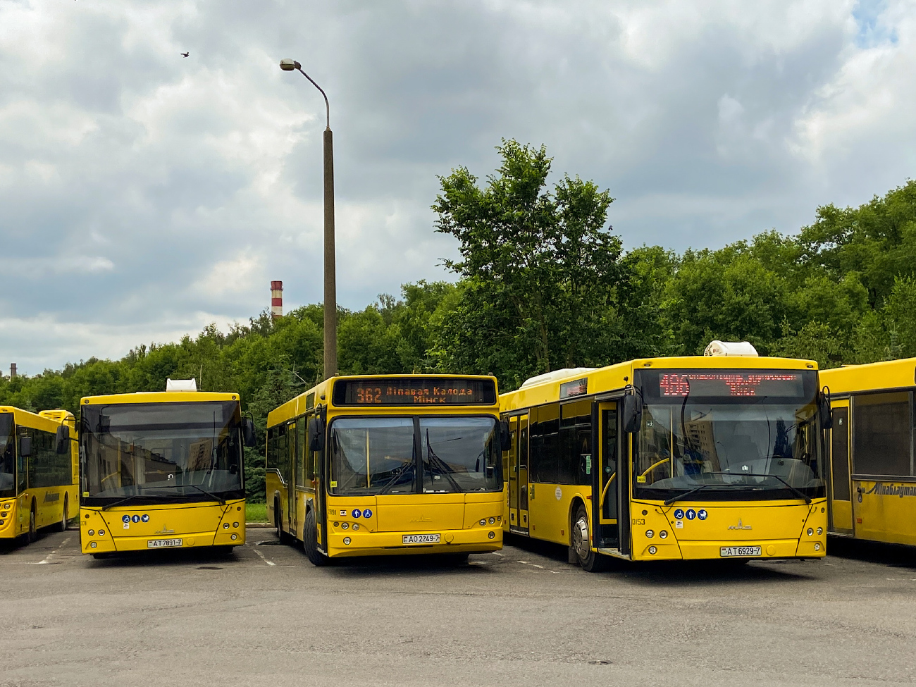 Minsk, MAZ-203.115 # 013171; Minsk, MAZ-103.564 # 012891