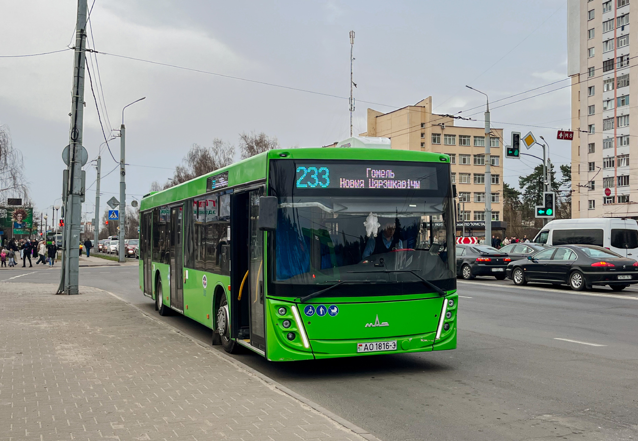 Gomiel, MAZ-203.047 # 037397