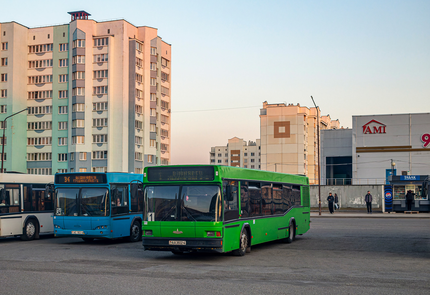 Grodno, MAZ-103.065 # 40193