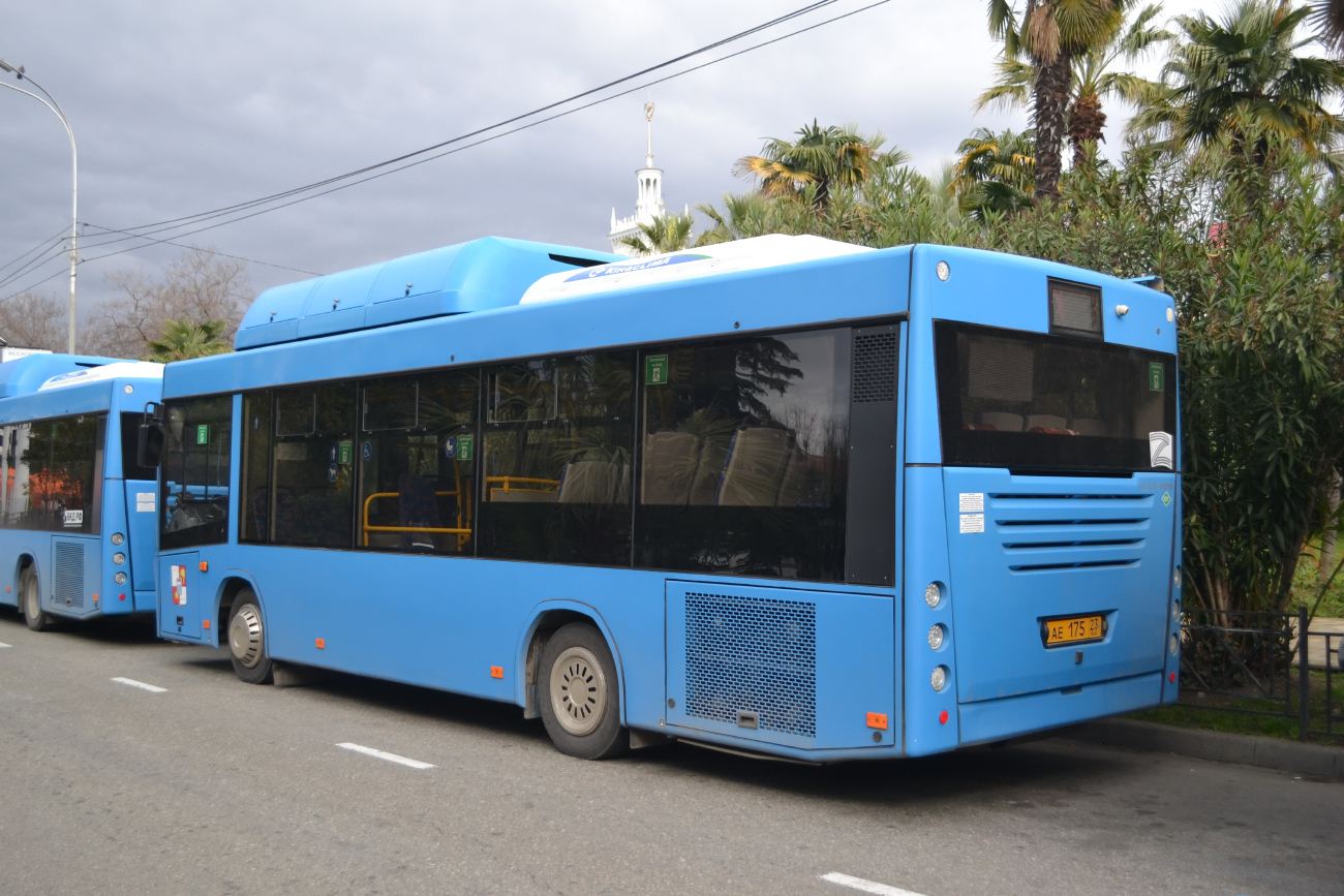 Sochi, MAZ-206.948 # АЕ 175 23