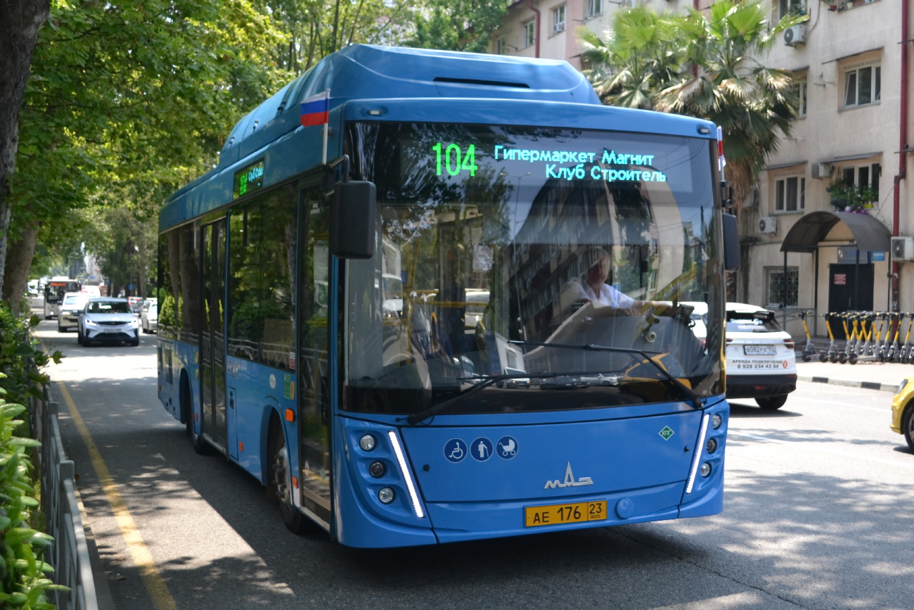 Sochi, MAZ-206.948 # АЕ 176 23