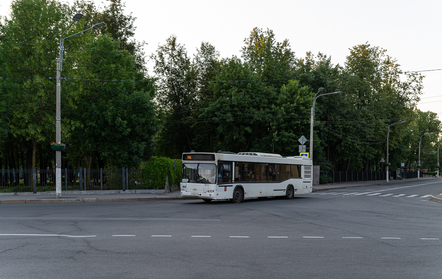 Saint Petersburg, MAZ-103.486 # 8456