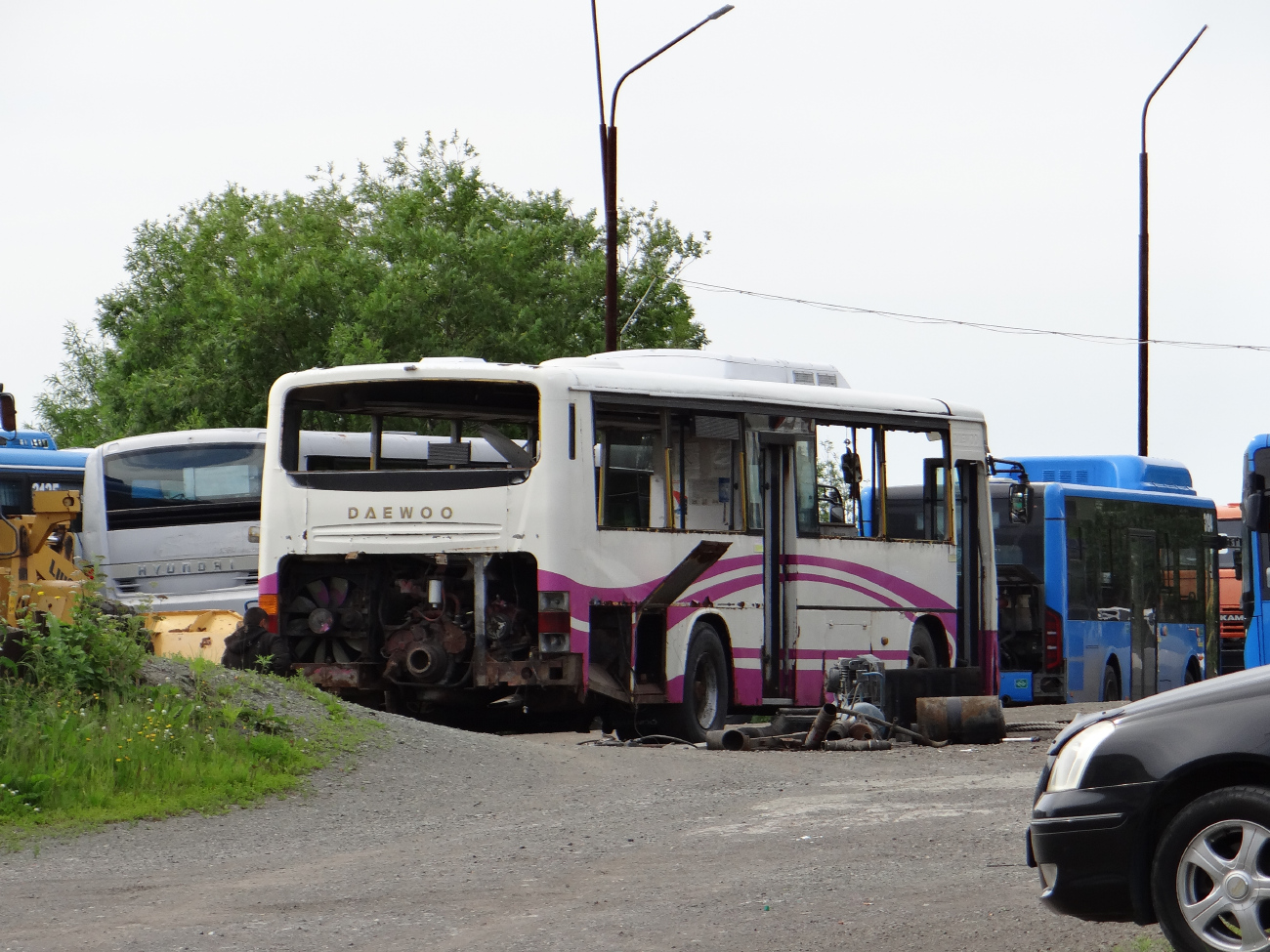 Petropavlovsk-Kamchatsky, Daewoo BS106 Royal City (Busan) # 100