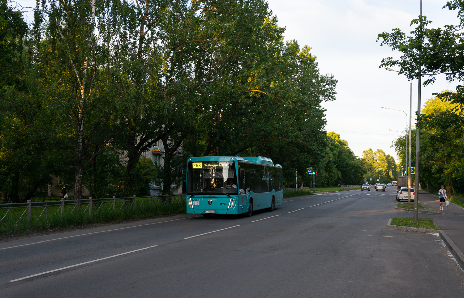 Санкт-Пецярбург, НефАЗ-5299-40-57 (CNG) № 36934