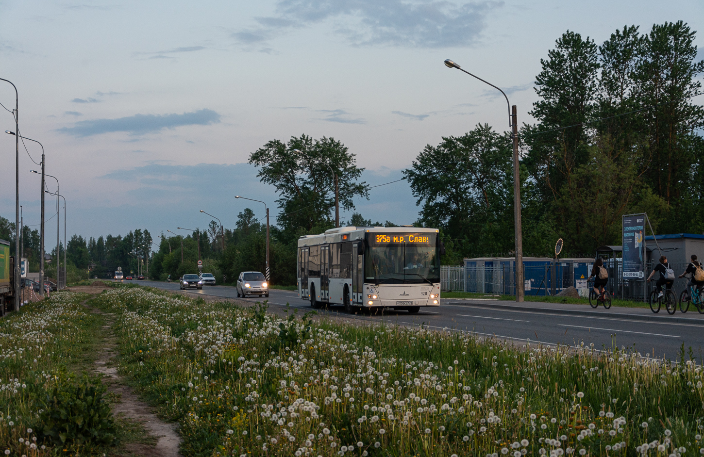 Saint Petersburg, MAZ-203.085 # 8211