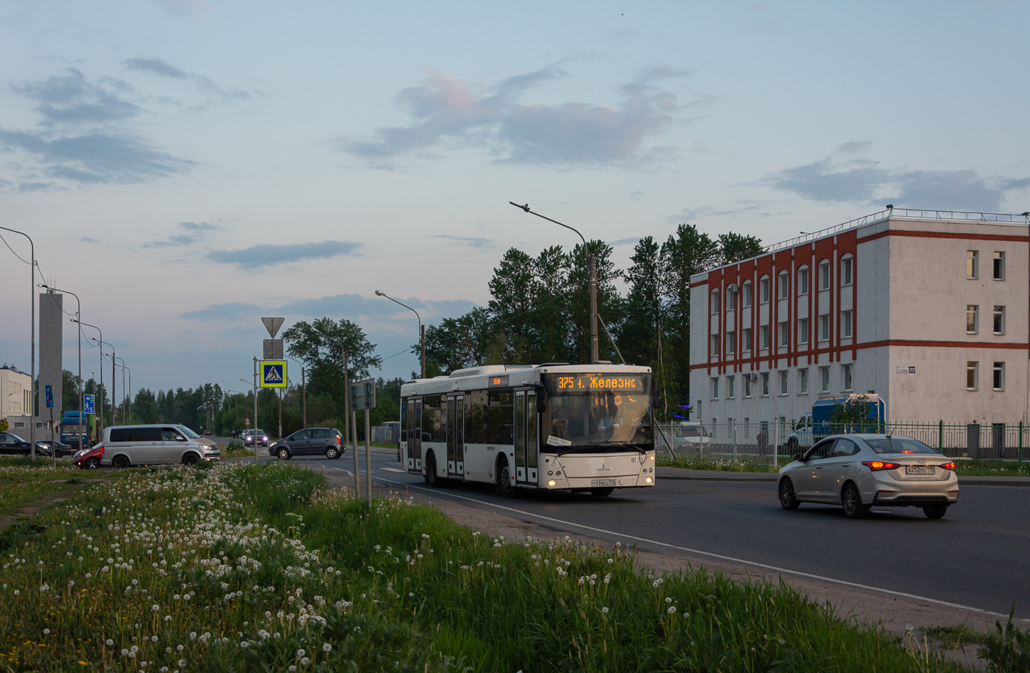 Saint Petersburg, MAZ-203.085 # 8133