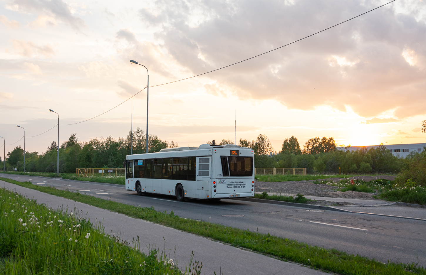 Saint Petersburg, MAZ-203.085 # 8236