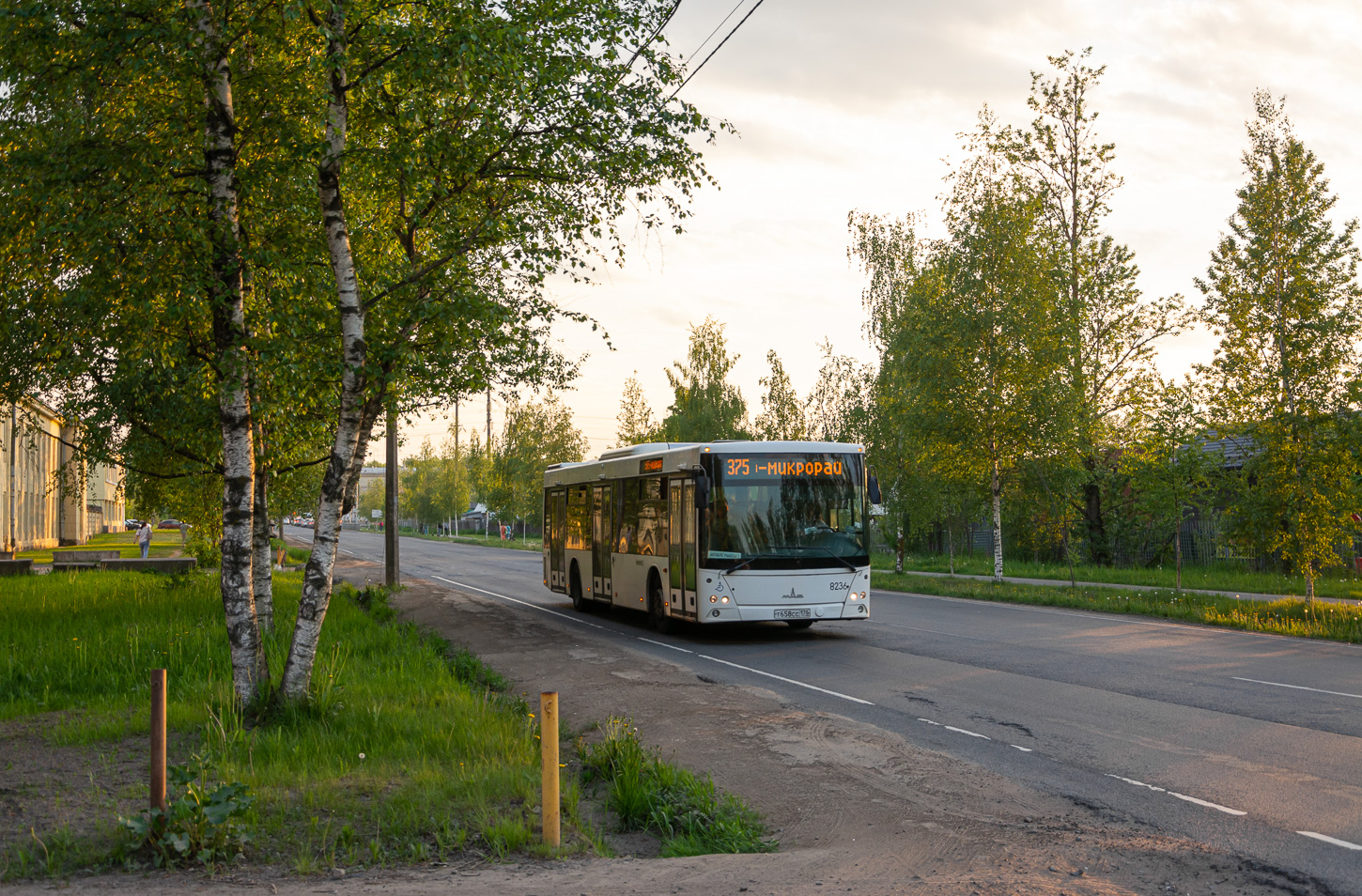 Saint Petersburg, MAZ-203.085 # 8236