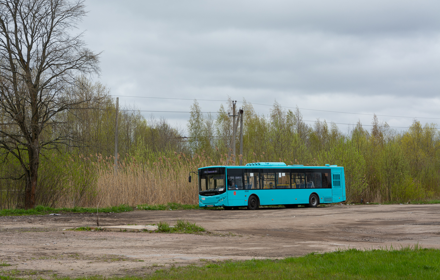 Saint Petersburg, Volgabus-5270.G2 (LNG) # 6243