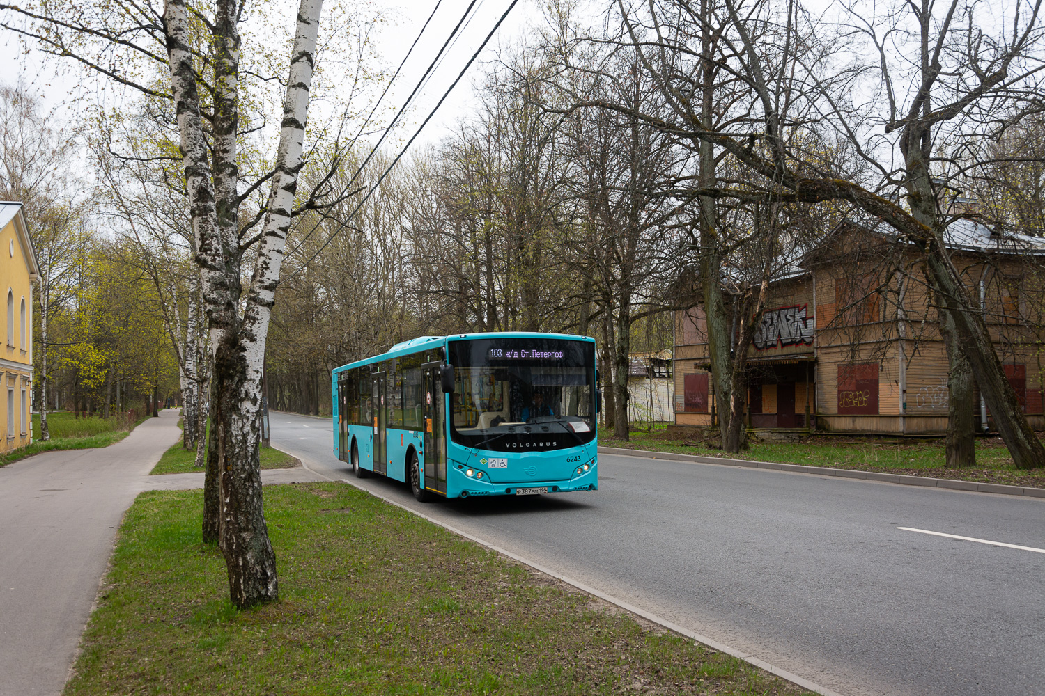 Saint Petersburg, Volgabus-5270.G2 (LNG) # 6243