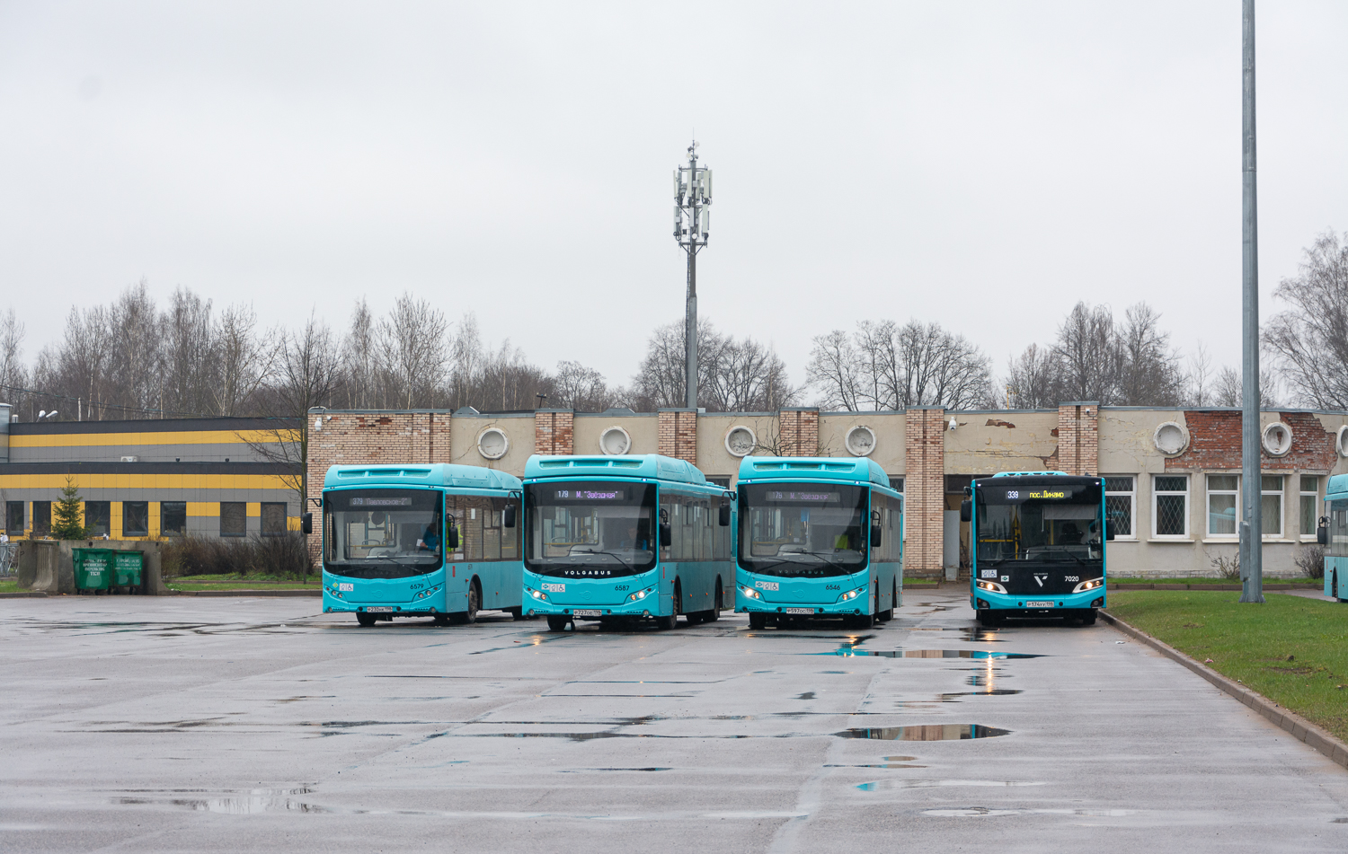 Saint Petersburg, Volgabus-5270.G4 (CNG) # 6546; Saint Petersburg, Volgabus-4298.G4 (LNG) # 7020
