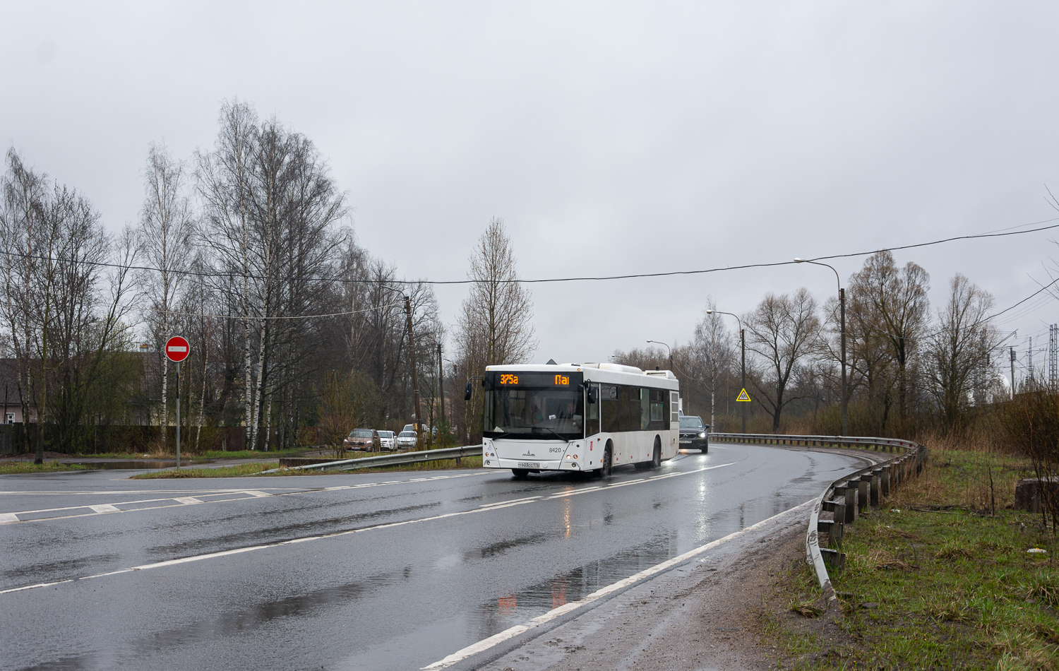 Saint Petersburg, MAZ-203.085 # 8420