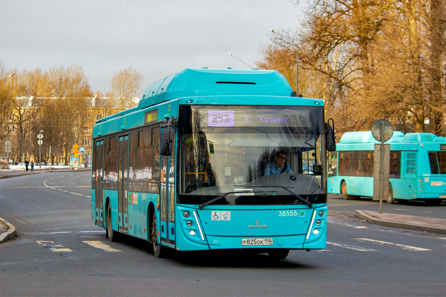 Saint Petersburg, MAZ-203.948 # 38555