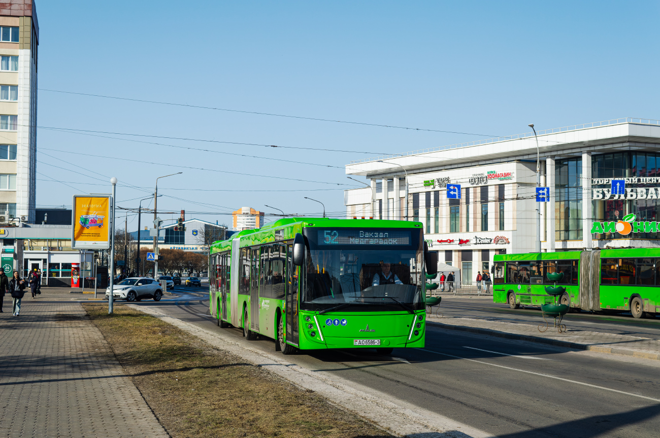 Gomiel, MAZ-216.047 # 13315