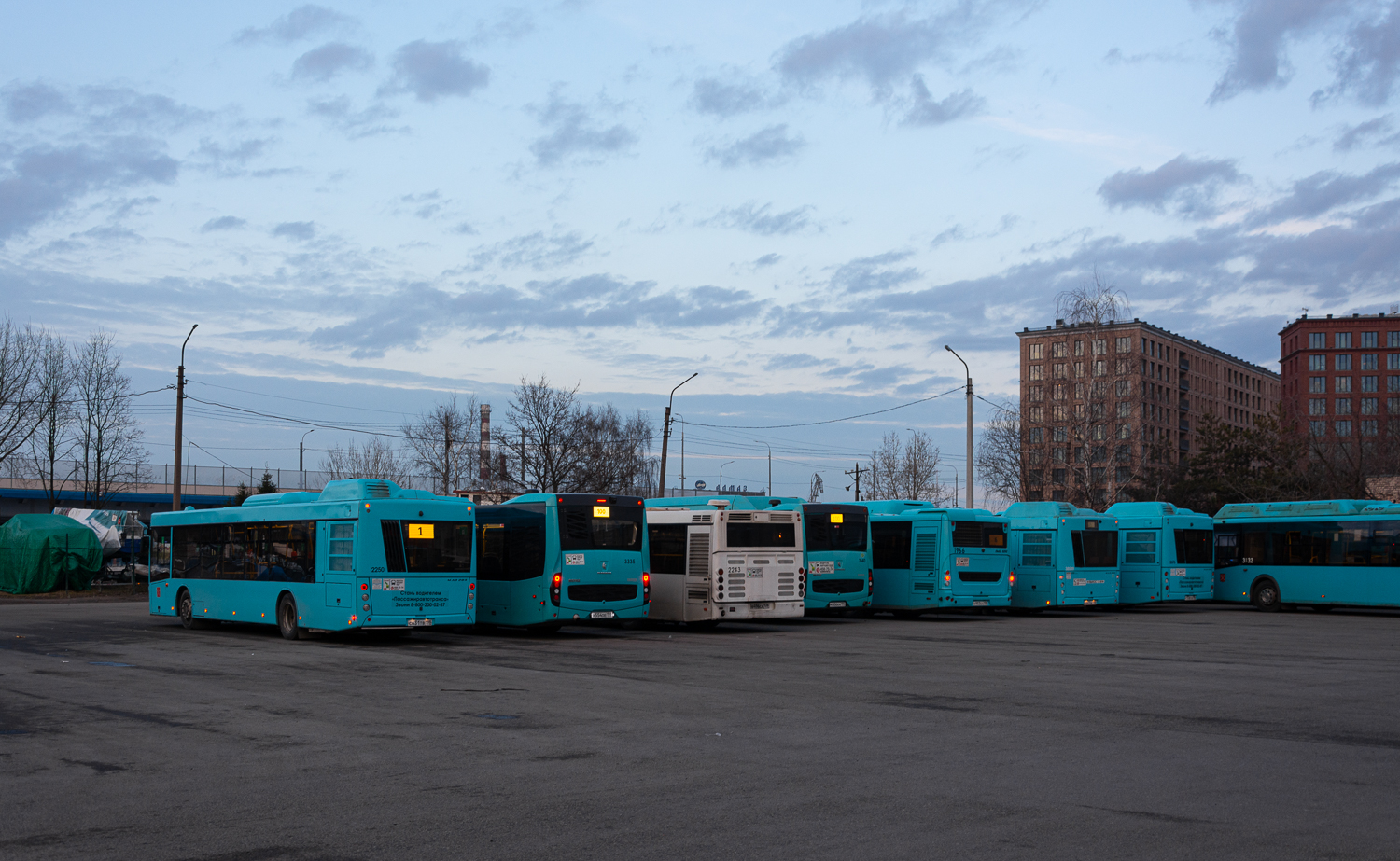 Saint Petersburg, MAZ-203.047 # 2250