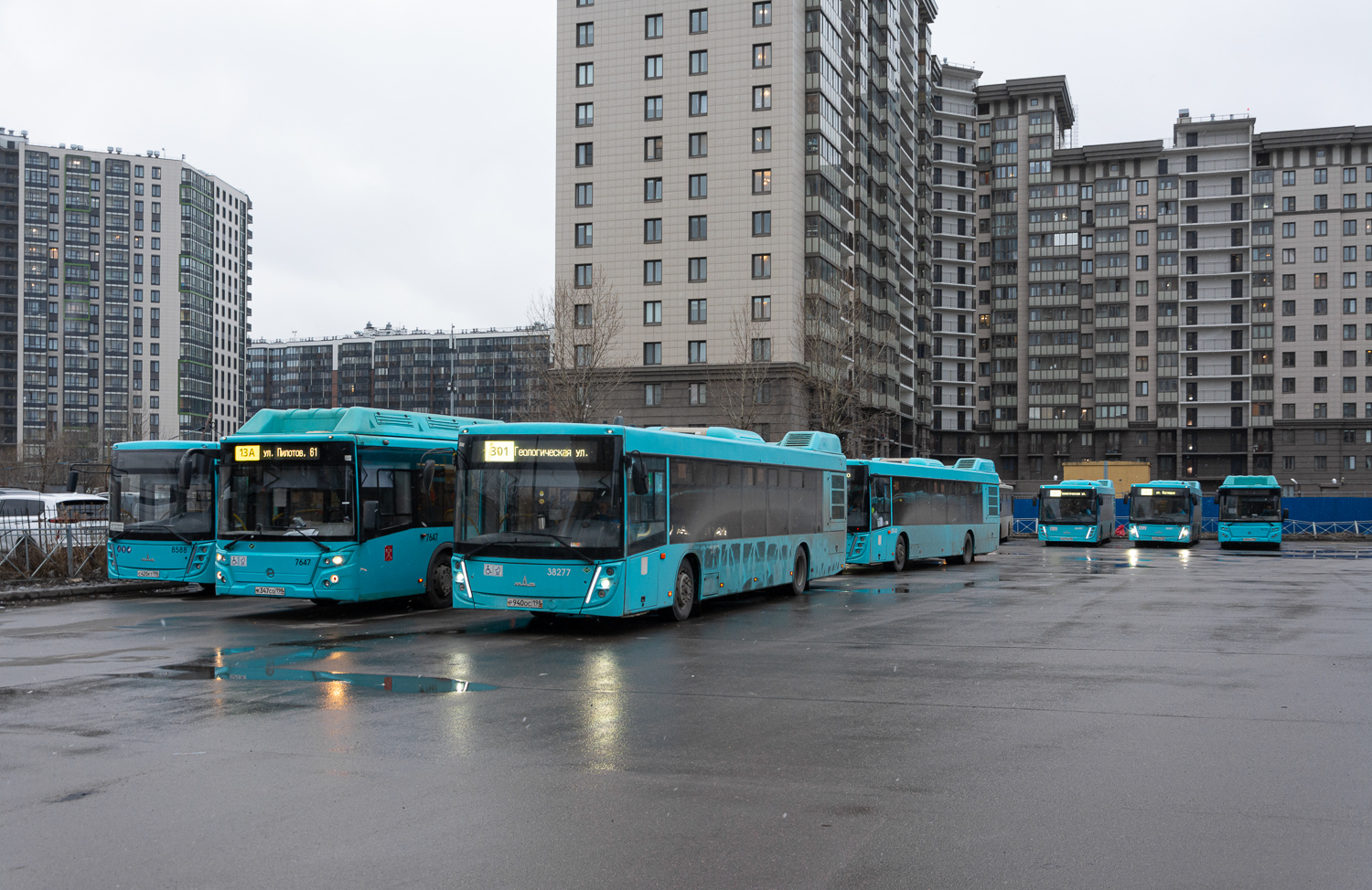Saint Petersburg, MAZ-203.947 # 38277