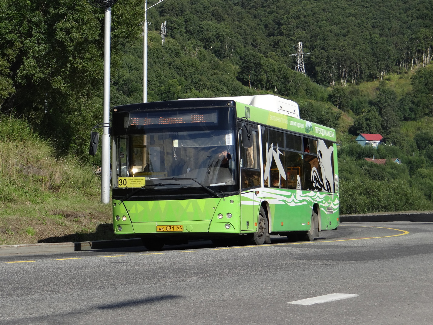 Petropavlovsk-Kamchatsky, Lotos-206 # 030