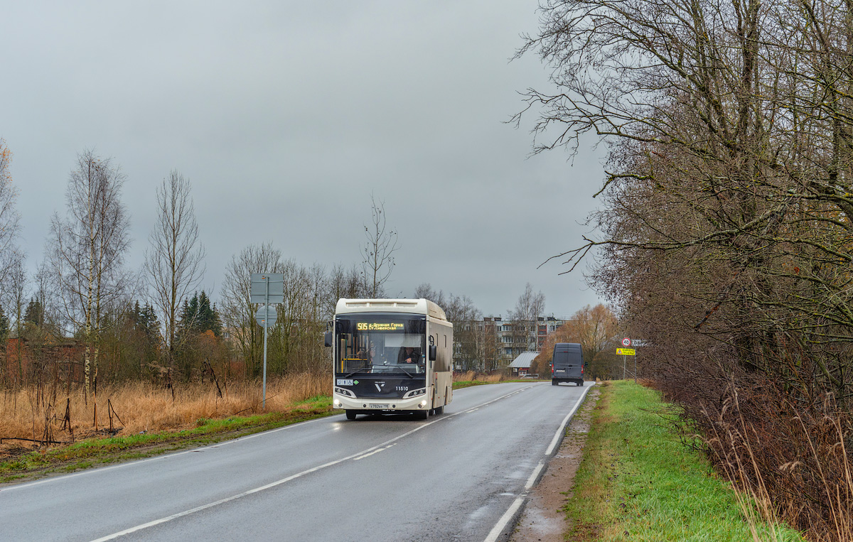 Leningrad Oblast, Volgabus-4298.G4 (CNG) # 11510