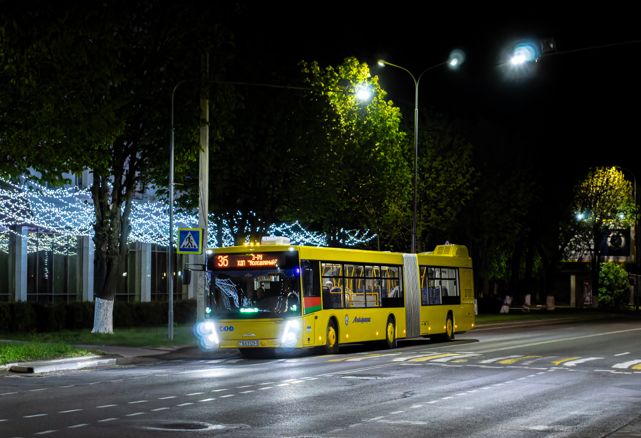 Saligorsk, MAZ-216.047 No. 012572