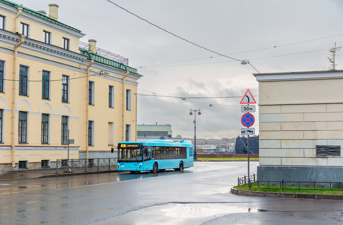 Saint Petersburg, MAZ-203.047 # 2450