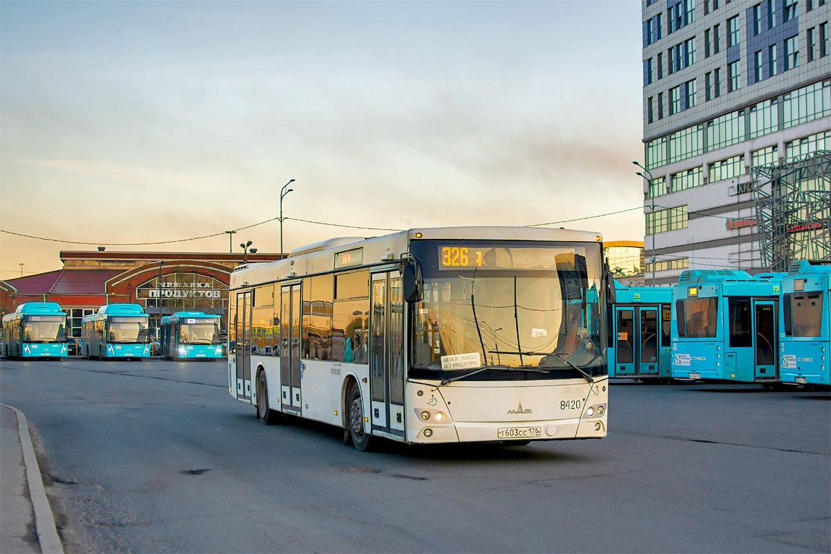 Saint Petersburg, MAZ-203.085 # 8420