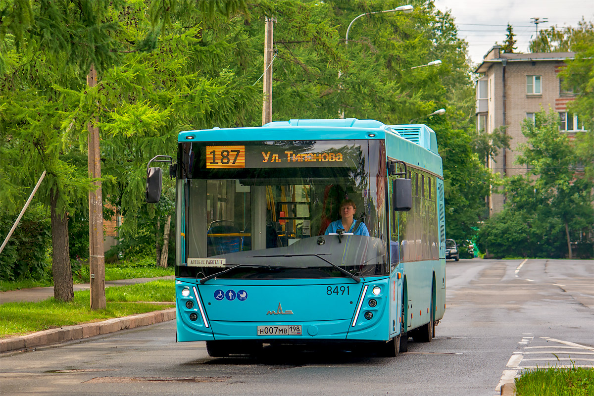 Saint Petersburg, MAZ-203.047 # 8491