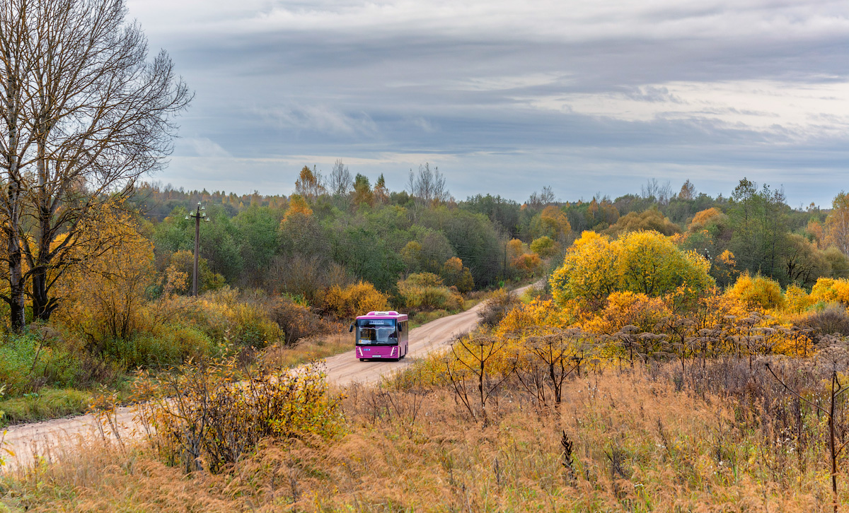 Vitebsk, MAZ-206.045 # 023612