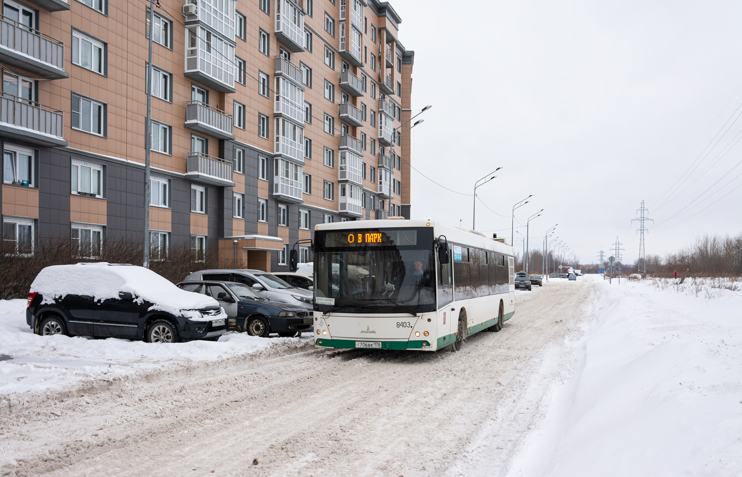 Saint Petersburg, MAZ-203.085 Nr. 8403