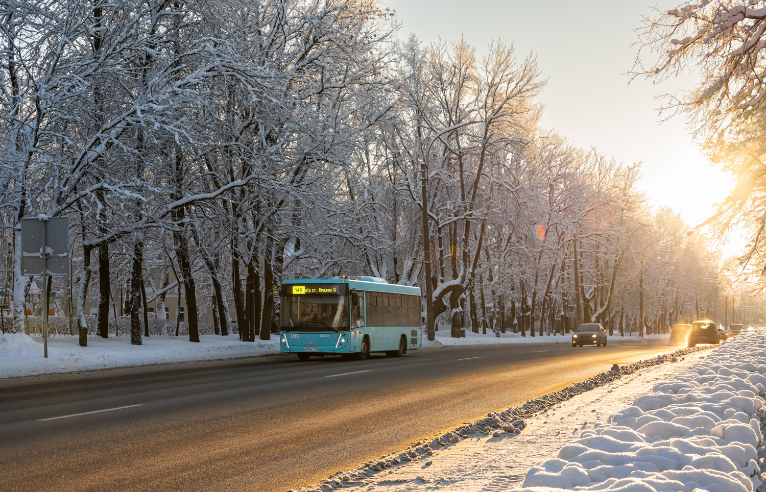 Saint Petersburg, MAZ-206.947 # 38434