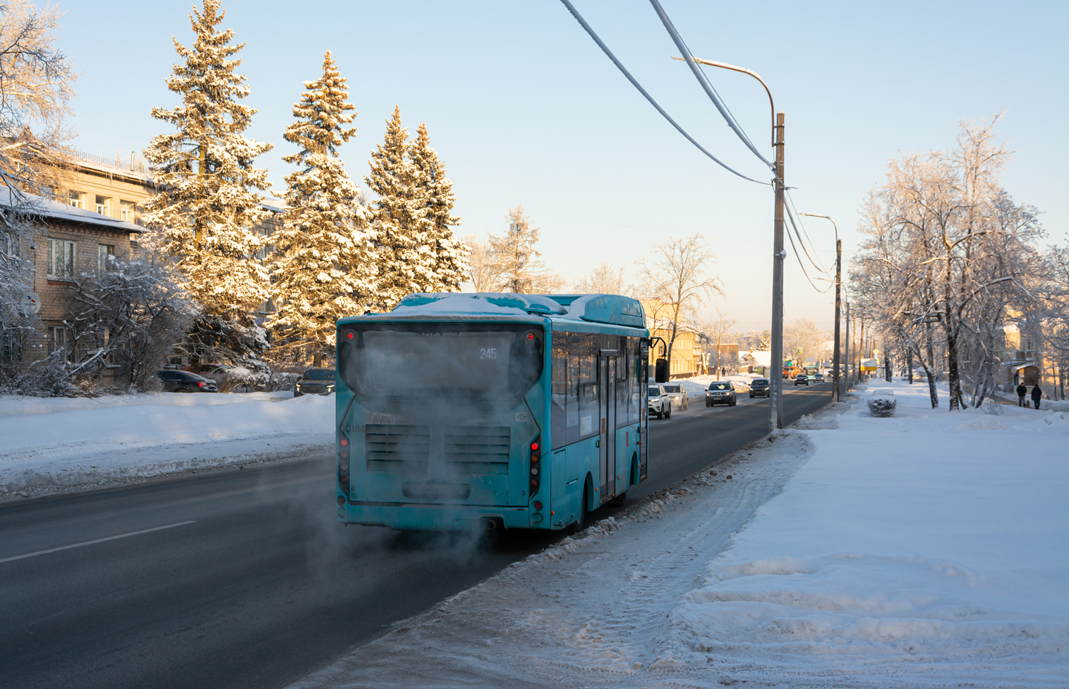 Saint Petersburg, Volgabus-4298.G4 (CNG) # 10184