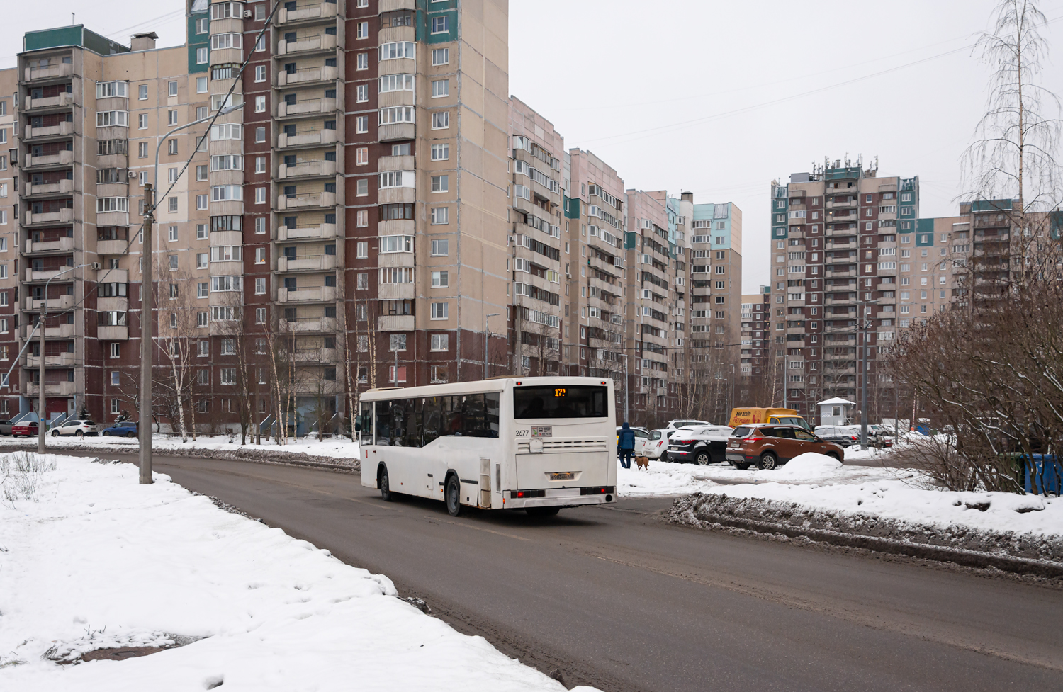 Saint Petersburg, NefAZ-5299-30-32 (5299CN) # 2677