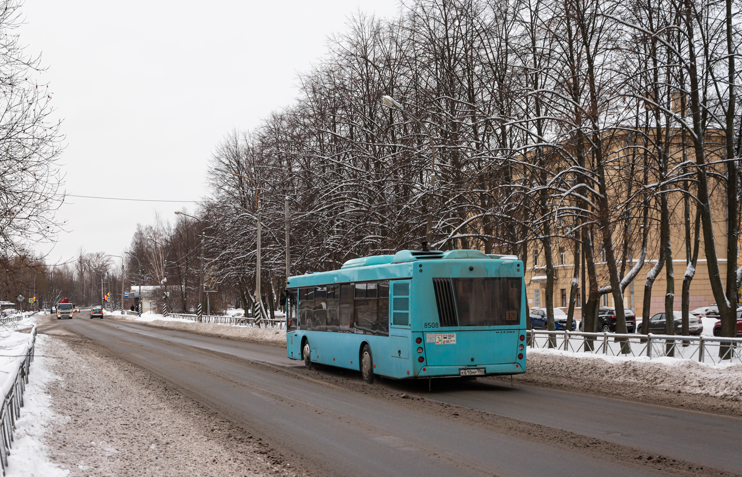 Санкт-Пецярбург, МАЗ-203.016 № 8508