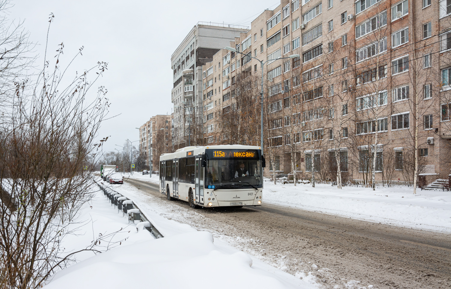 Saint Petersburg, MAZ-203.085 # 8421