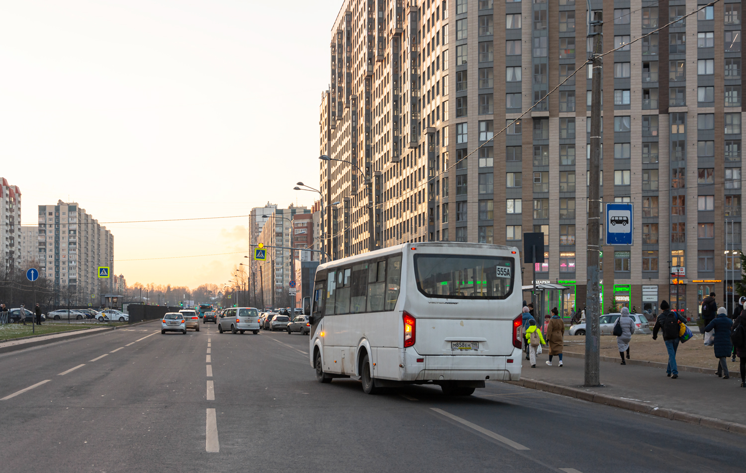 Sertolovo, PAZ-320435-04 "Vector Next" # М 858 ЕН 198