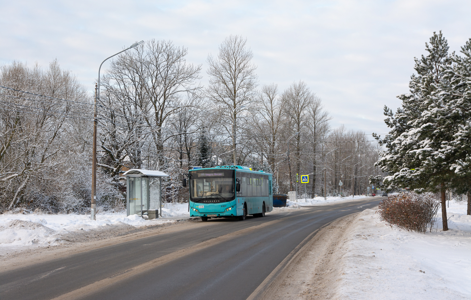Saint Petersburg, Volgabus-5270.G4 (LNG) # 6307