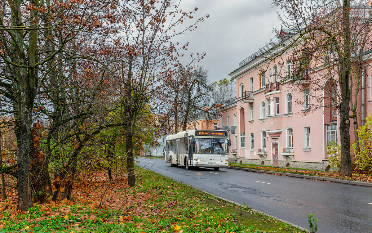 Saint Petersburg, MAZ-103.486 # 8255