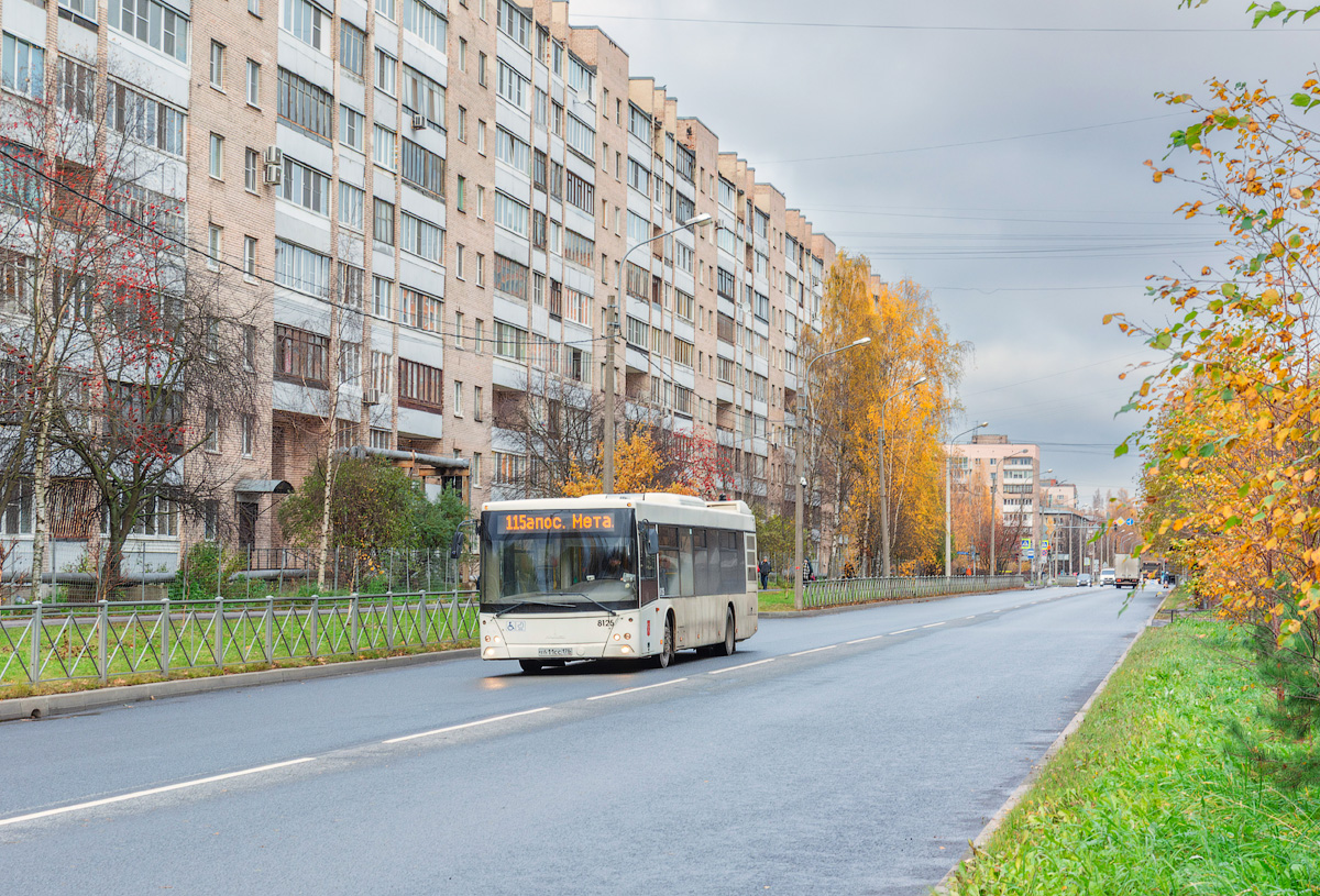 Saint Petersburg, MAZ-203.085 # 8125