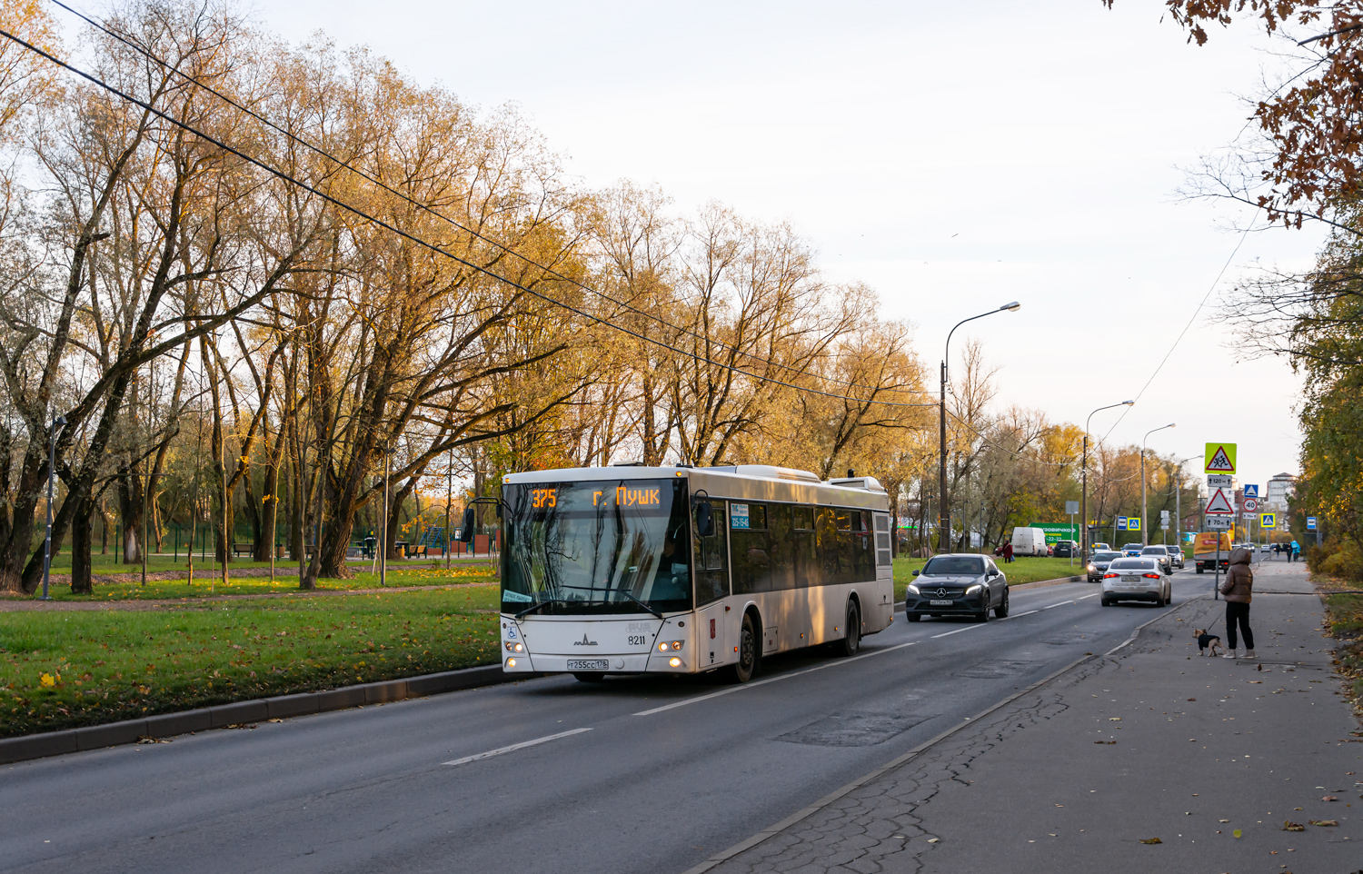 Saint Petersburg, MAZ-203.085 # 8211