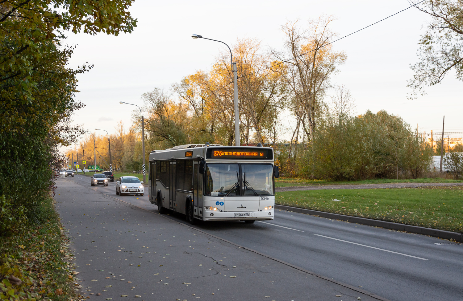 Saint Petersburg, MAZ-103.486 # 8246