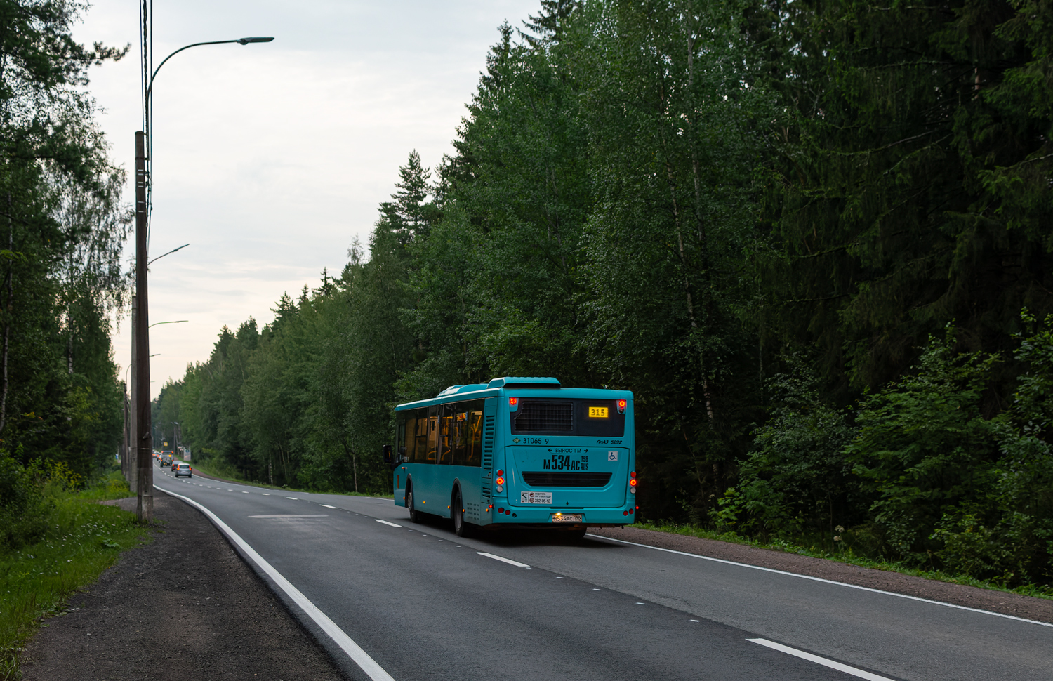 Saint Petersburg, LiAZ-5292.67 (LNG) # 31065