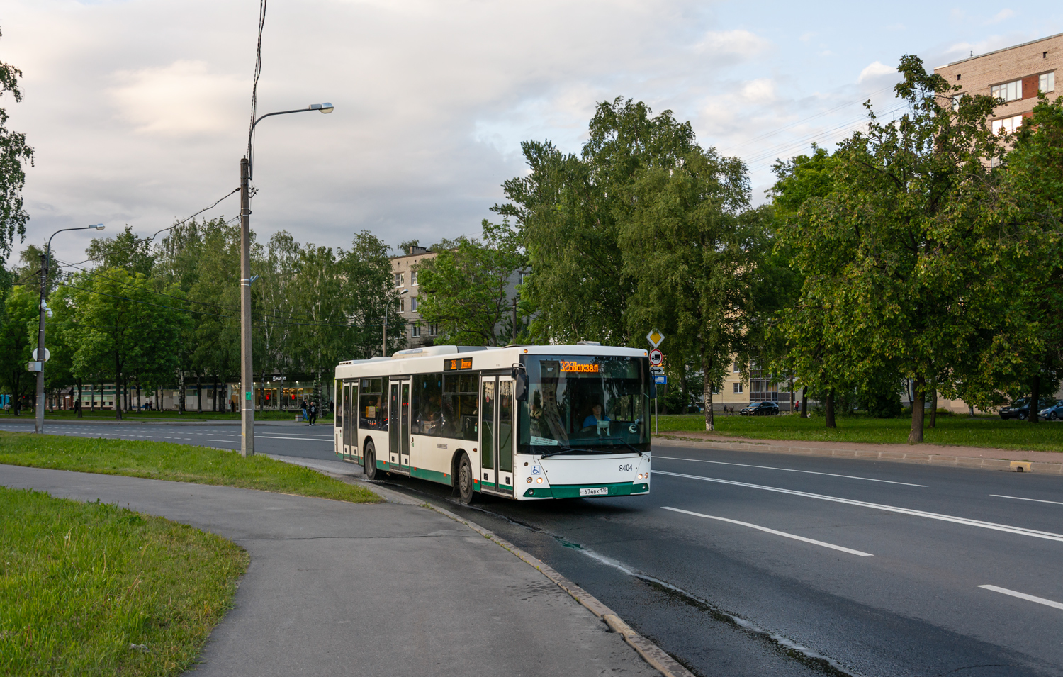 Saint Petersburg, MAZ-203.085 No. 8404